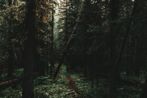 网球国家杯，不只是一场比赛，更是一场关于梦想的追逐！